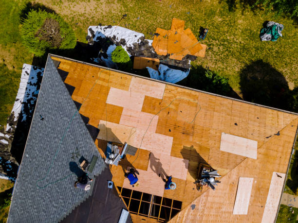 Best Roof Gutter Cleaning  in West Van Lear, KY