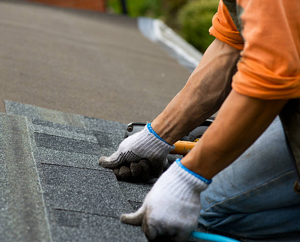 Best Roof Repair Services  in West Van Lear, KY